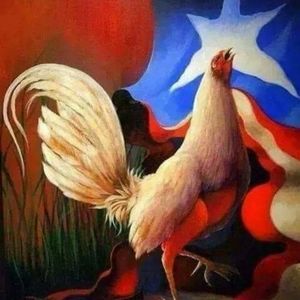 Meet your Posher, Ivan